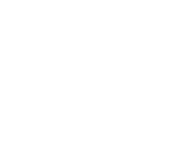 ToyoRoofing logo
